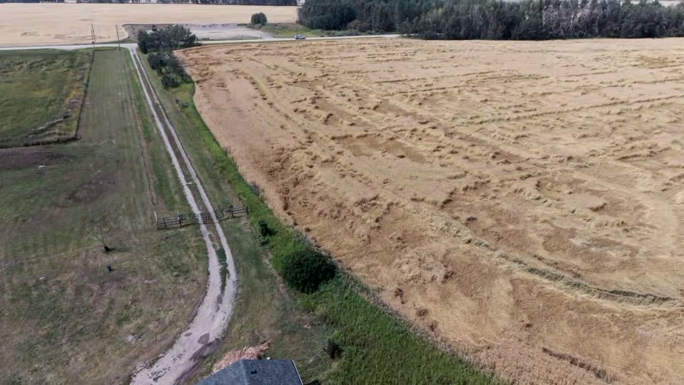 Aerial view of the gravel lane running beside a wheat field